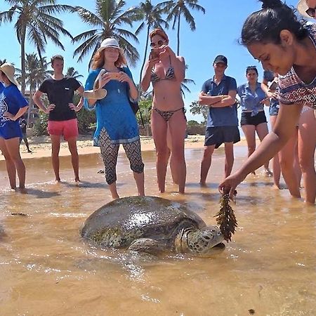 Turtle Bay Hotel Хикадува Екстериор снимка